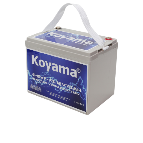 EVF ELECTRIC VEHICLE BATTERY