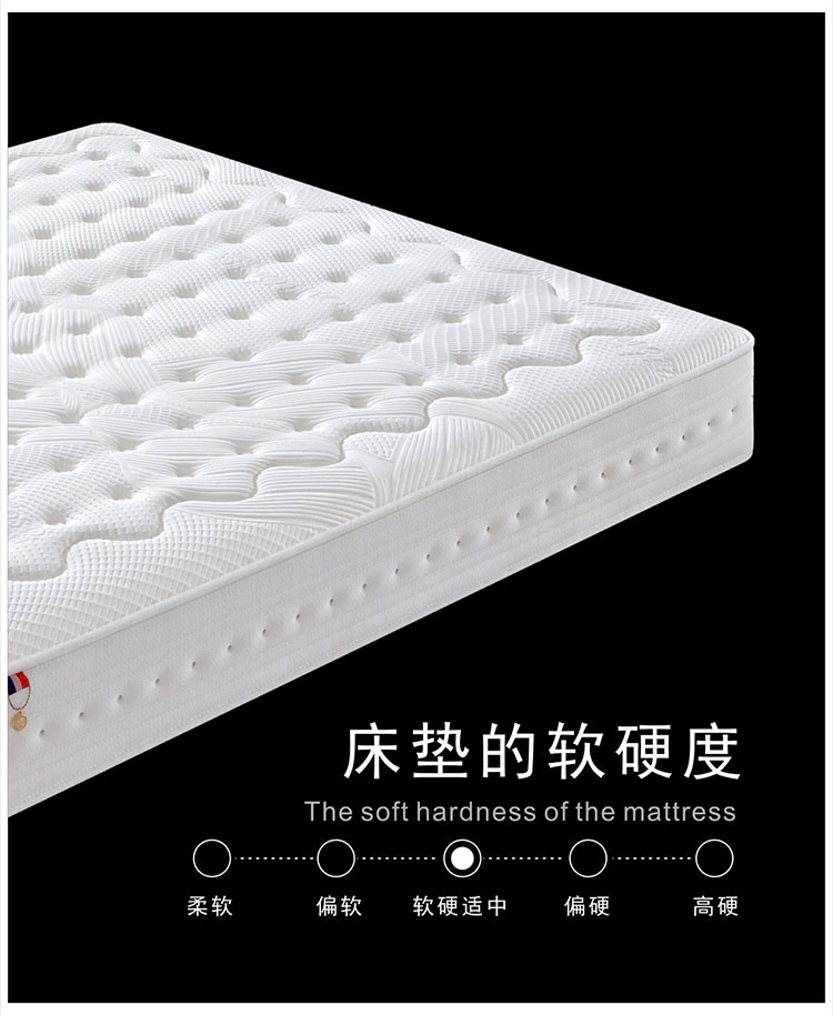 650171ef38c5e.jpg