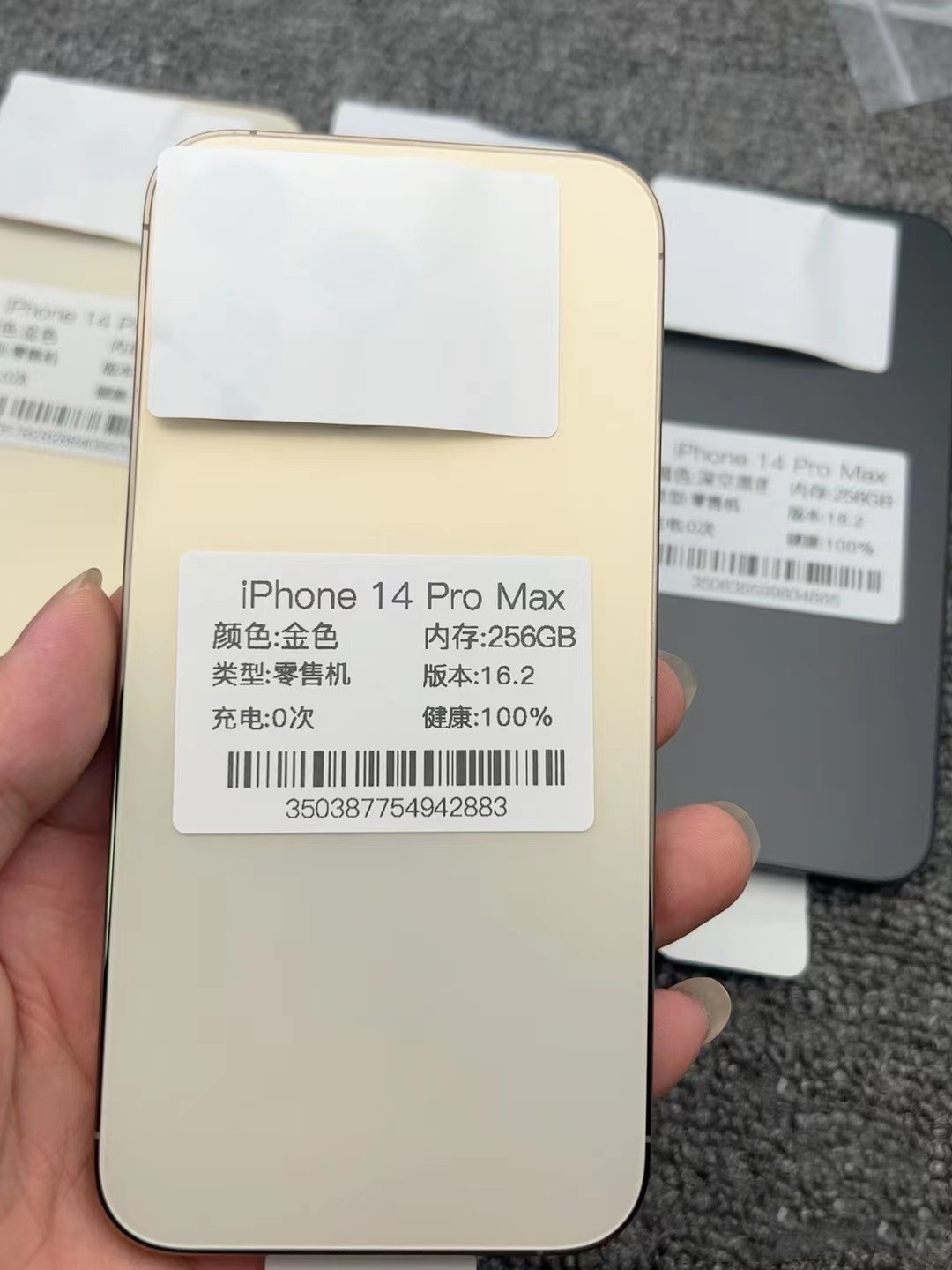 65869ca8397da.jpg